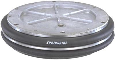 SPRINGRIDE气胎SP2342